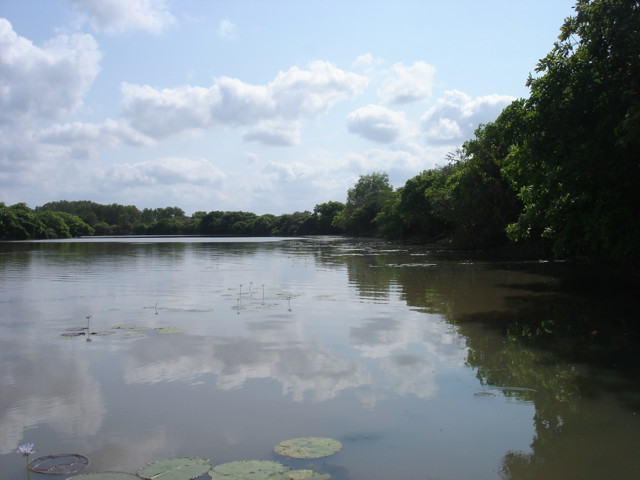 Parc_zoologique1.jpg