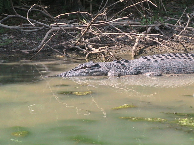 Parc_zoologique3.JPG