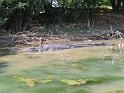 Parc_zoologique4