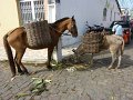 127_Rio_Paraguacu