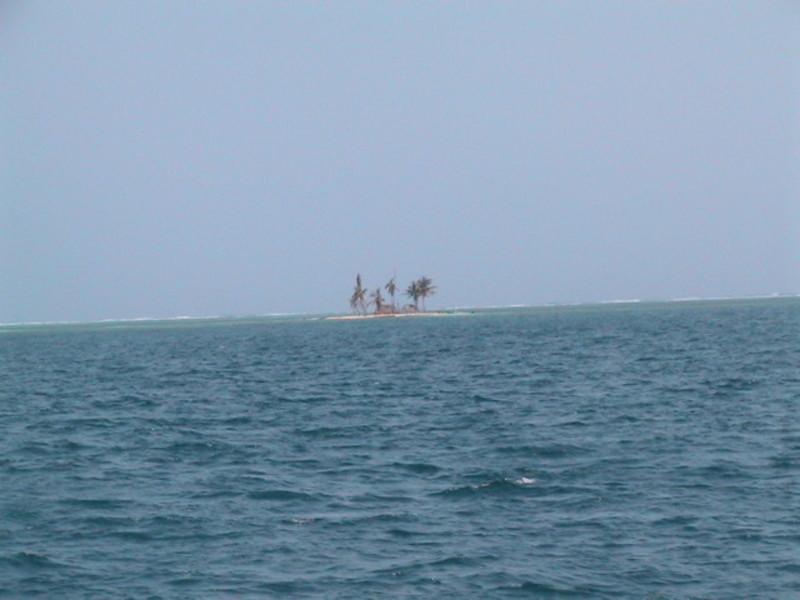 Original image