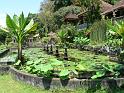 Tirta_Ganga11