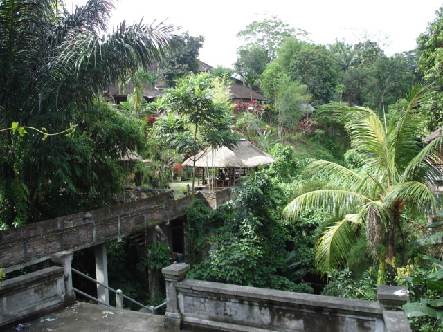 Ubud1.JPG