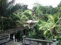 Ubud1