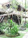 Ubud_losmen