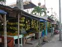 Batam3