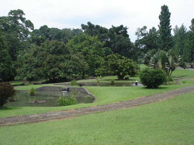 Bogor3.JPG