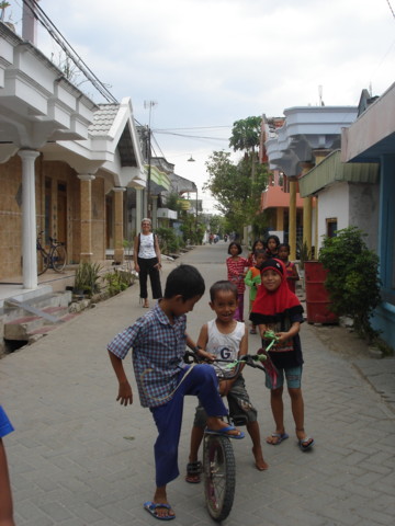 Kaklak6.JPG