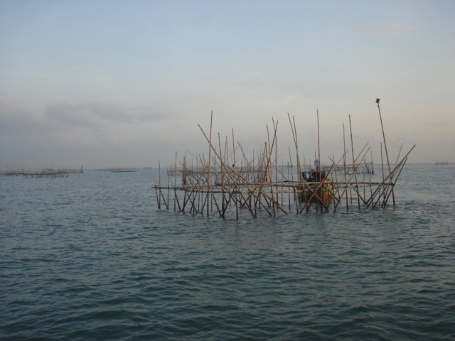 Kaklak7.JPG