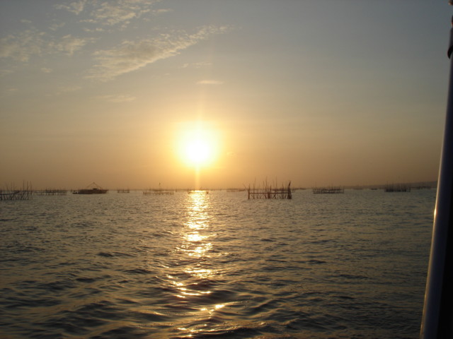 Kaklak8.JPG