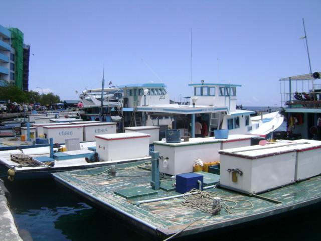 Bateaux_de_peche.JPG