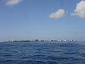 Male_capitale