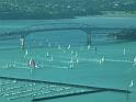 Auckland20