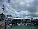 Auckland_bassin_centre_ville2