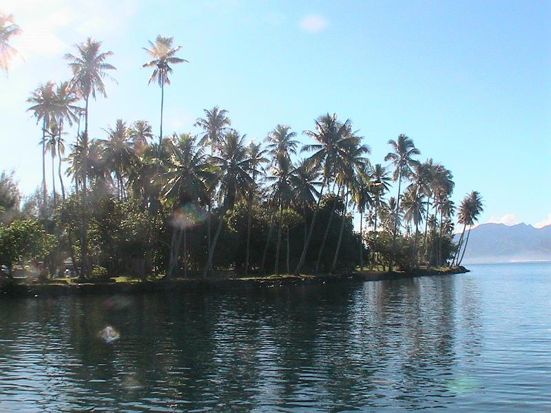 Original image
