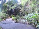 tahiti12