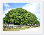 Tonga3 * 640 x 480 * (165KB)