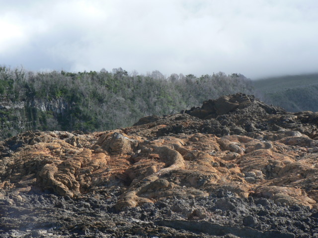 piton_fournaise_coulee_2007_3.JPG