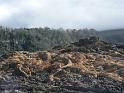piton_fournaise_coulee_2007_3