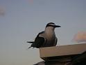 trav_maldiv_seych1
