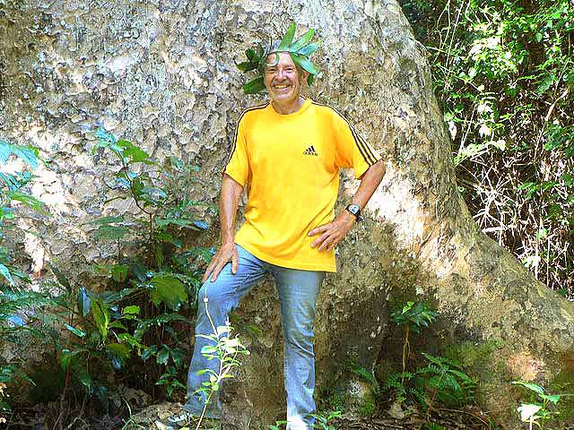 kauri_1er.JPG