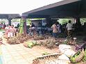 luganville6