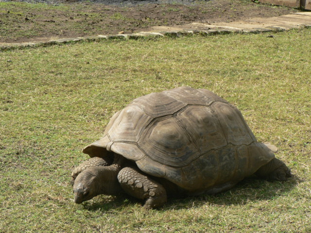 jardin_botanique_4.JPG