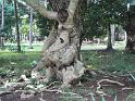 jardin_botanique_3