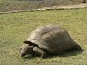 jardin_botanique_4
