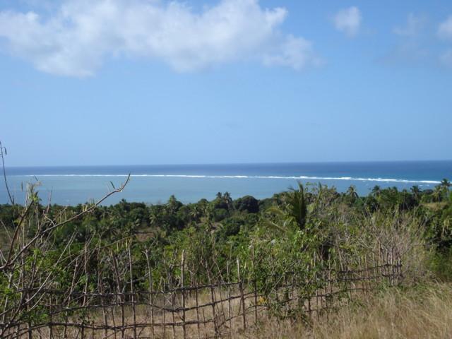 Dziani_barriere_de_corail.JPG