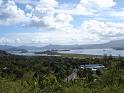 Dziani_mangrove