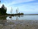 baie_des_tortues