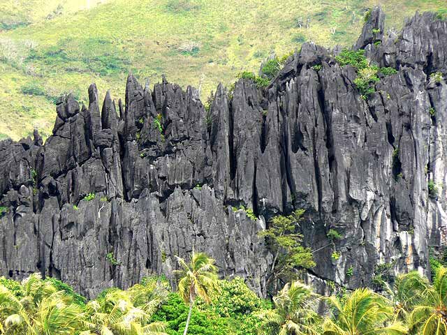 Hienghene_calcaire_noir_karst.JPG