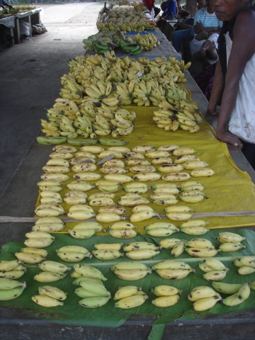 Koki_Market3.jpg