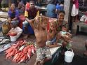 Koki_Market1