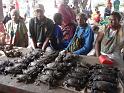 Koki_Market11