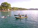 Yandina2