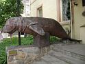 e_dugong