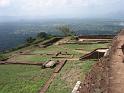 sigiriya13